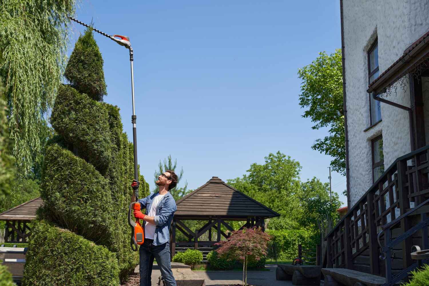 Best Tree Pruning Services  in USA